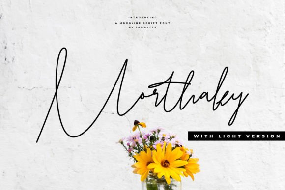 Elevate Your Brand with the Morthaky Script Font