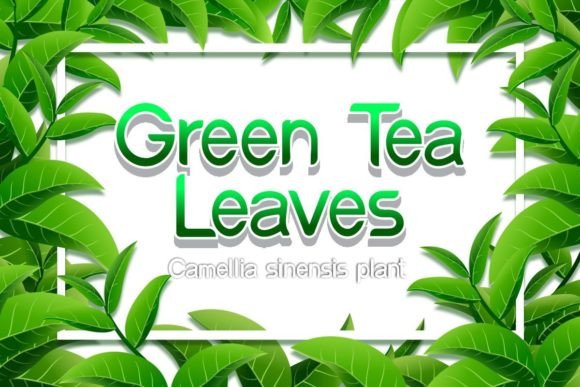 Green Tea Leaves Font Review