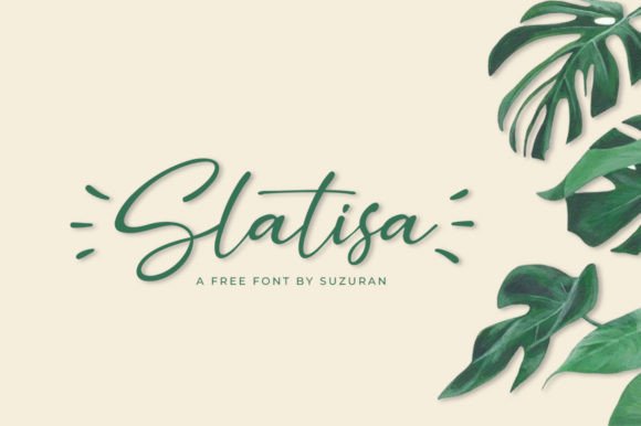 Slatisa: A Delicate Script Font