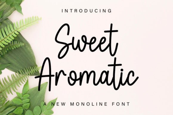 Sweet Aromatic Font Review: A Versatile Script for Creative Branding