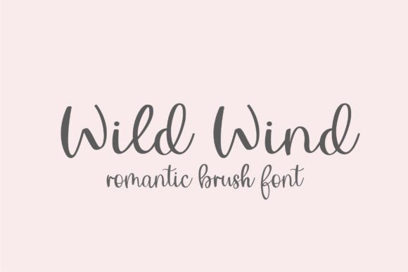 Wild Wind: A Script Font for Creative Campaigns